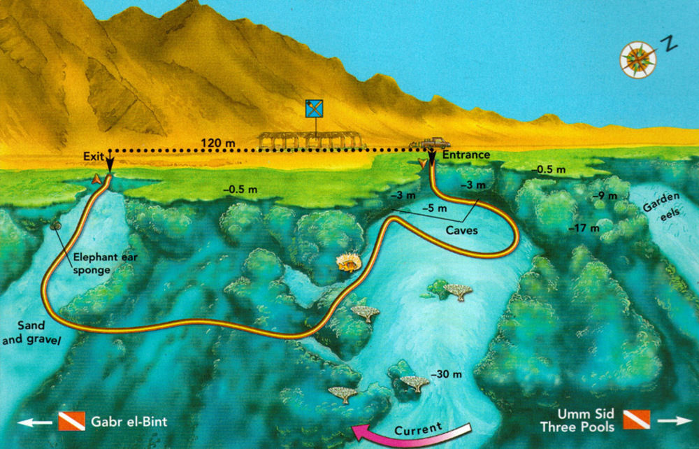 Dahab Divers Exteriér fotografie